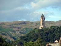 wolfe_Stirling2009_001